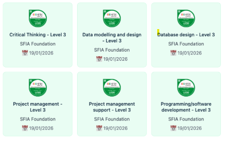 Employer-recognized skills badges & certificates of attainment